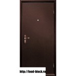 Металлическая дверь СПЕЦ 950