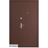Металлическая дверь  ПРОФИ DL 1250